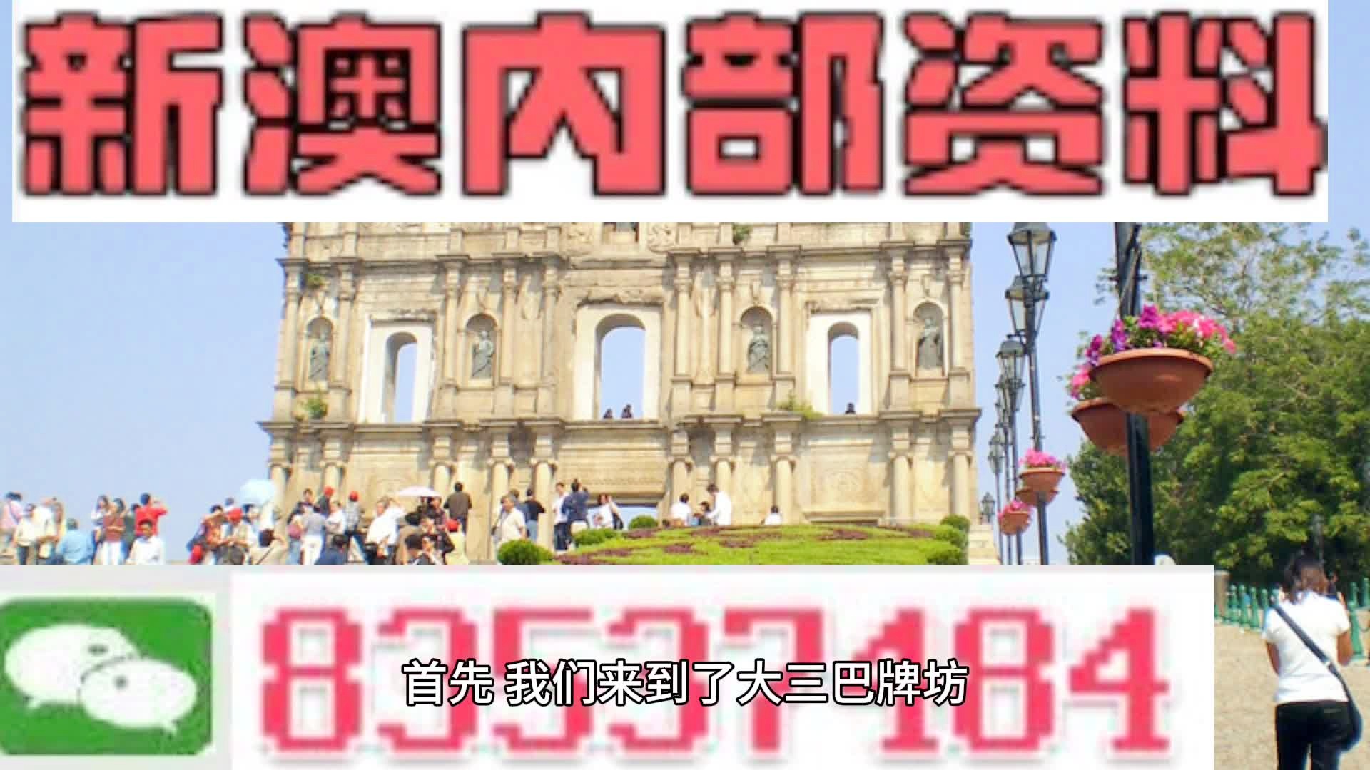 2025新澳精准正版资料109|词语释义解释落实