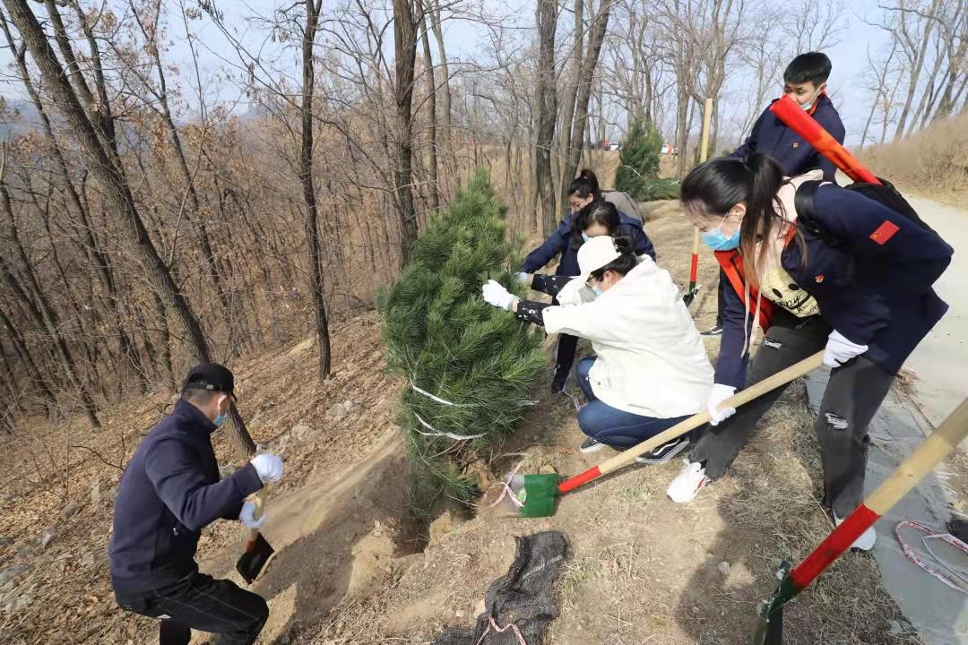 大地资源第二页第三页区别|精选解析解释落实