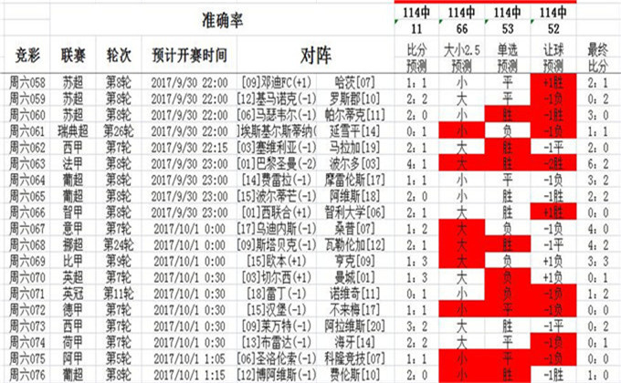 2025澳彩免费公开资料查询|全面释义解释落实